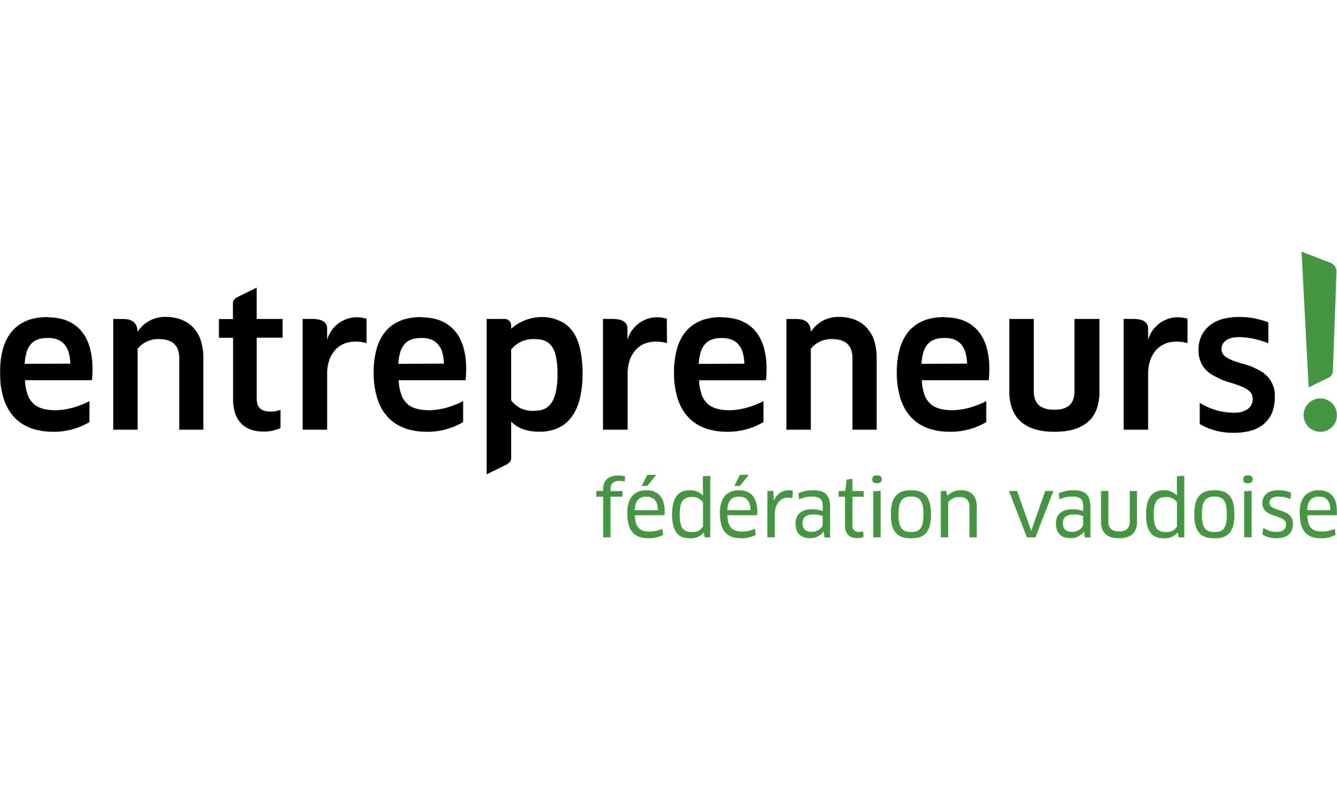 Logo FVE