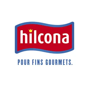 Logo Hilcona